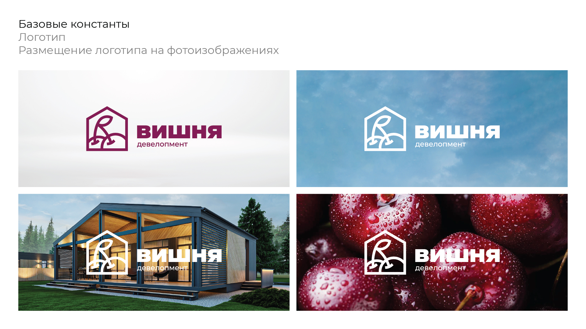 Вишня — изображение 6